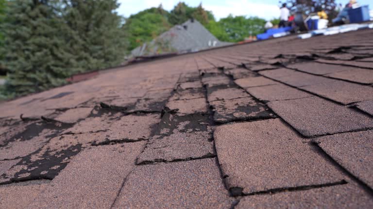 Best Chimney Flashing Repair  in Shepherd, MI