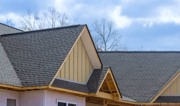 Best Roof Moss and Algae Removal  in Shepherd, MI