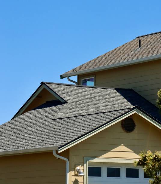 Best Storm Damage Roof Repair  in Shepherd, MI
